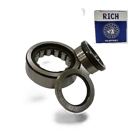 NUP309E C3 RICH 45x100x25