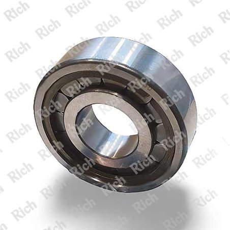 502696 RICH 25x62x19