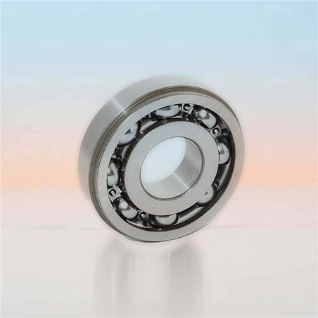 SX0483 RICH 22x56x14