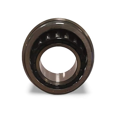 RT-568895 (F-568895 ) RICH 30x55x6,5