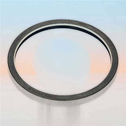 Oil Seal RICH 155x176x16 COMBI NBR