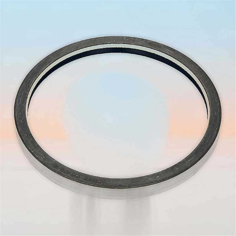 Oil Seal RICH 155x176x16 COMBI NBR