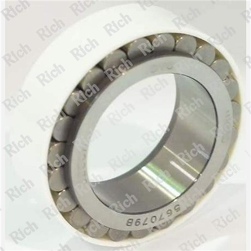 567079 RICH 36x54,3x22