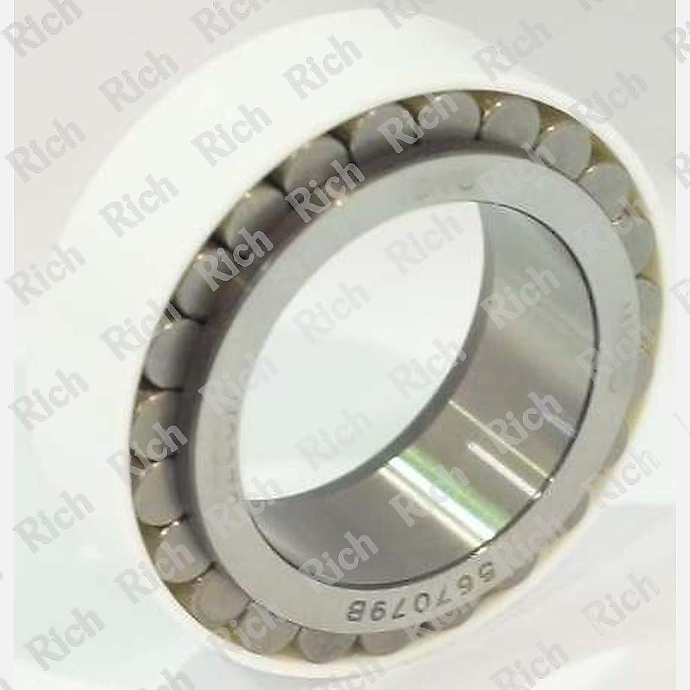 567079 RICH 36x54,3x22