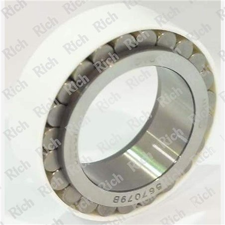 567079 RICH 36x54,3x22