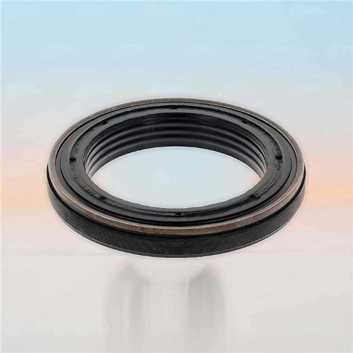 Oil Seal RICH 70x100x12,5/16 KASSETTE PTFE