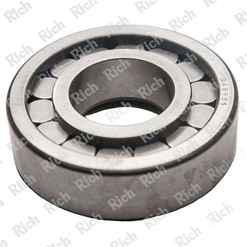 548951 RICH 27,8x62x18