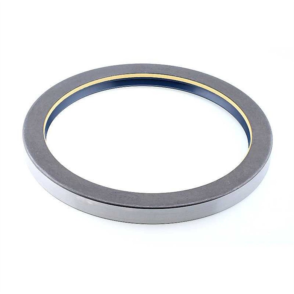 Oil Seal RICH 170x205x17 COMBI NBR
