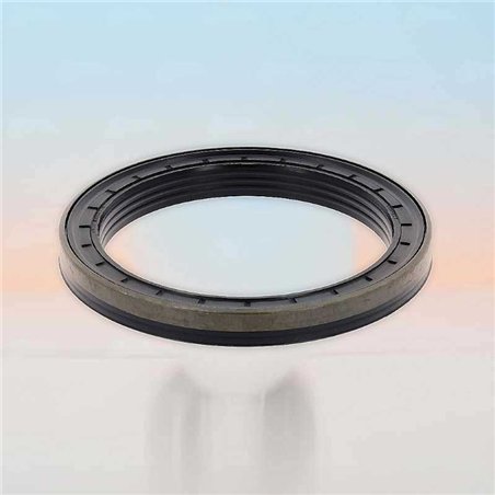 Paraolio RICH 110x140x14,5/16 KASSETTE NBR
