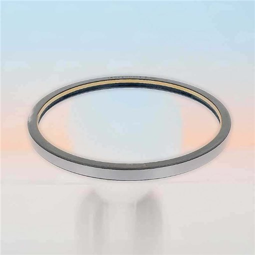 Oil Seal RICH 180x200x13,4 COMBI NBR