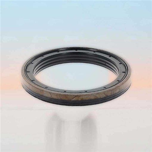 Oil Seal RICH 85x110x13 KASSETTE ACM