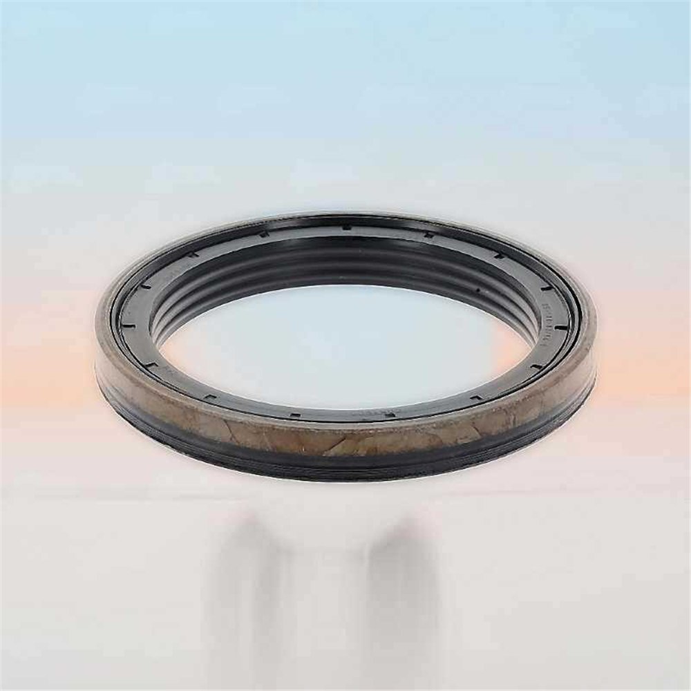 Oil Seal RICH 85x110x13 KASSETTE ACM