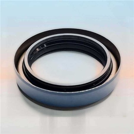 Paraolio RICH 56x76x13/15,5 COMBI FPM