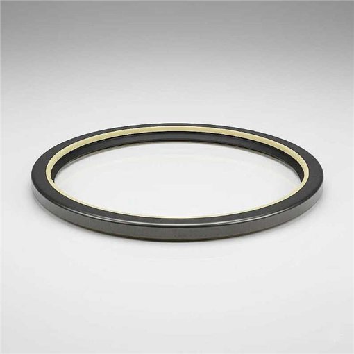 Oil Seal RICH 180x205x17 COMBI NBR