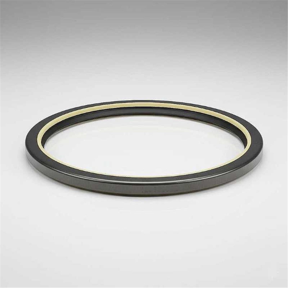 Oil Seal RICH 180x205x17 COMBI NBR