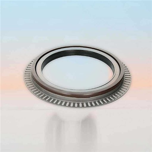 Oil Seal RICH 135x175/205x18 KASSETTE FPM