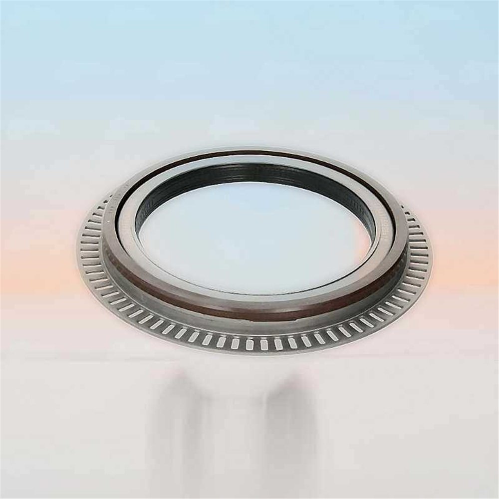 Oil Seal RICH 135x175/205x18 KASSETTE FPM