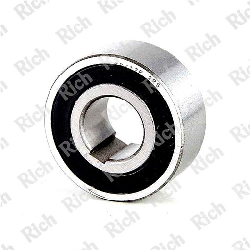 CSK 17 P 2RS RICH 17x40x17