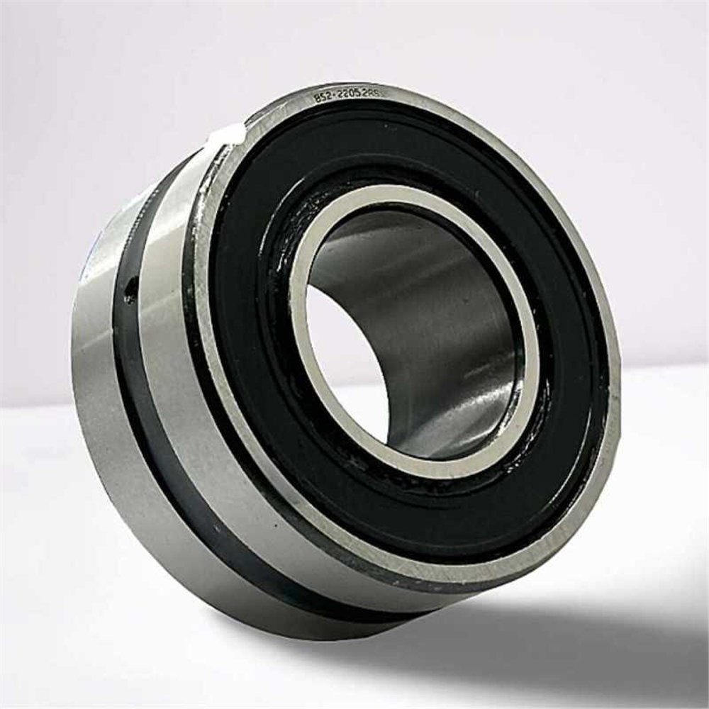 BS2-2211-2RS RICH 55x100x31