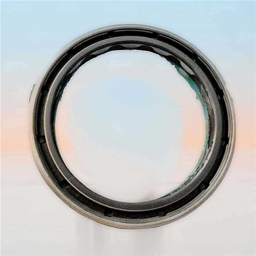 Oil Seal RICH 75x95x16,5 COMBI NBR