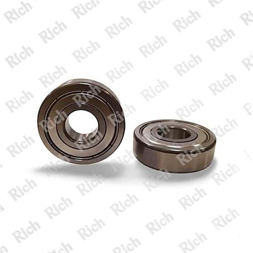 6032 ZZ RICH 160x240x38