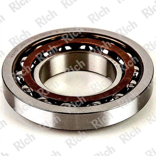 F‑237543.02.SKL RICH 50x100x20