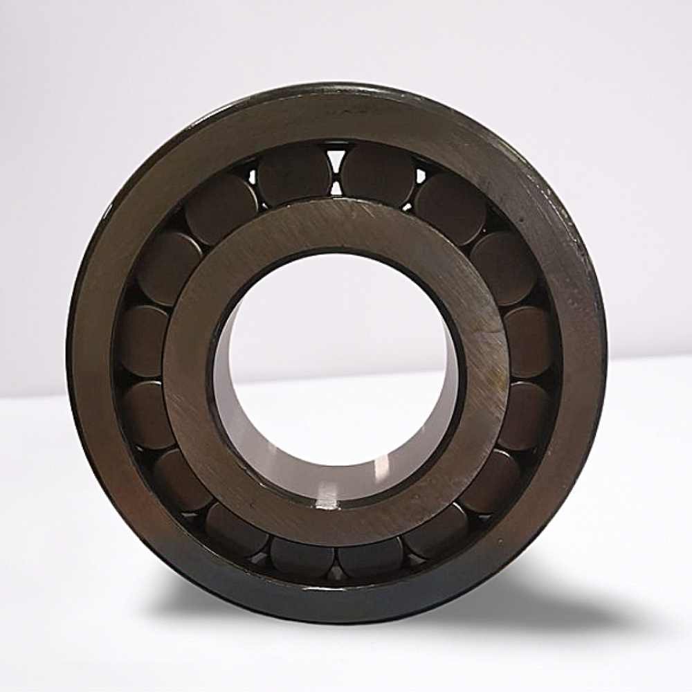 RC-320308 (BC1B 320308A) RICH 45x100x31