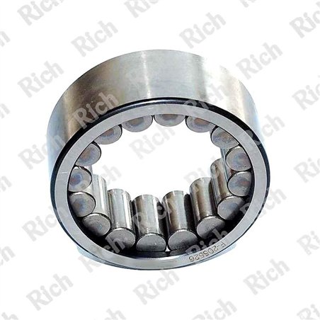 F-205526 RICH 41,31x67x27
