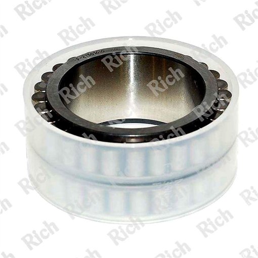 F-213616 RICH 50x69,67x32