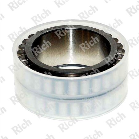 F-213616 RICH 50x69,67x32