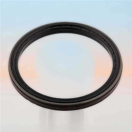 Oil Seal RICH 137x165x13,5 RWDR-KASSETTE FPM