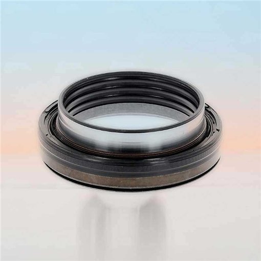 Oil Seal RICH 60x82,5x25,6 KASSETTE PTFE