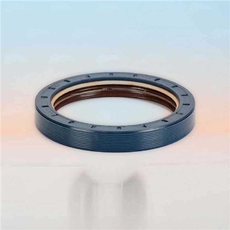 Oil Seal RICH 88,9x114,3x16 KOMBI FPM