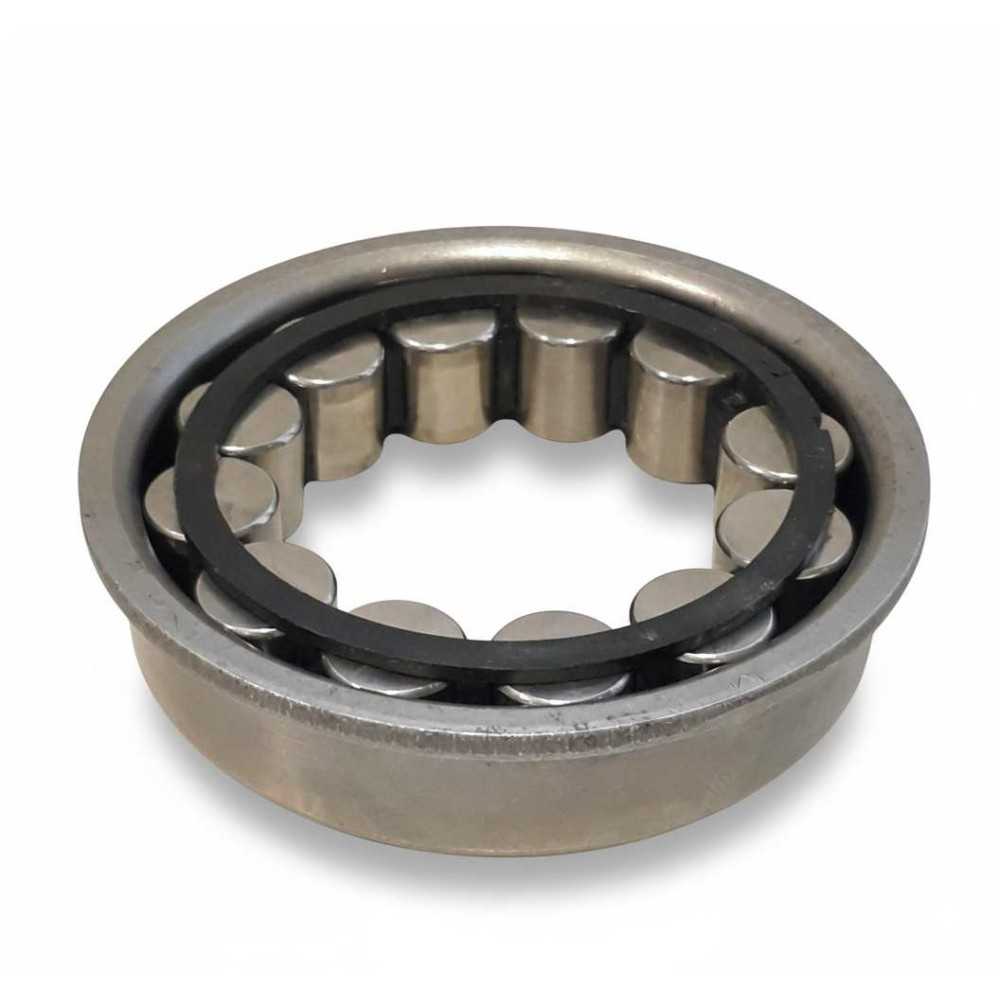 RC-208962.1 RICH | Cuscinetto Rulli Cilindrici Opel 90523036