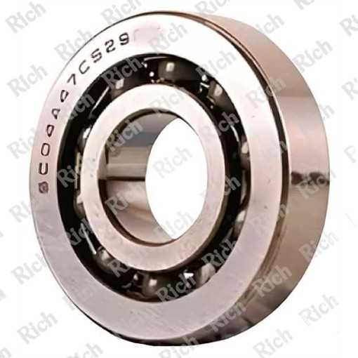SC04A47 CS29 RICH | Cuscinetto Radiale 20x52x12 mm |