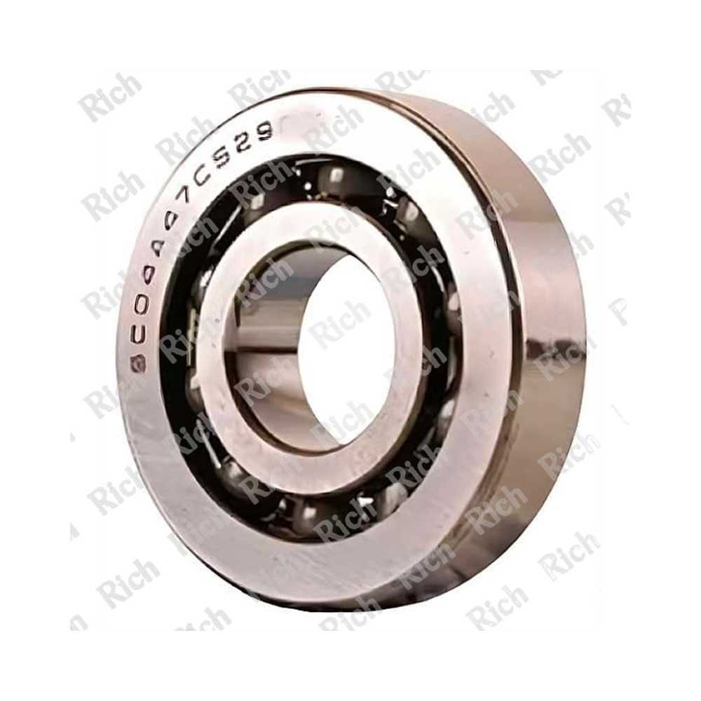 SC04A47 CS29 RICH | Cuscinetto Radiale 20x52x12 mm |