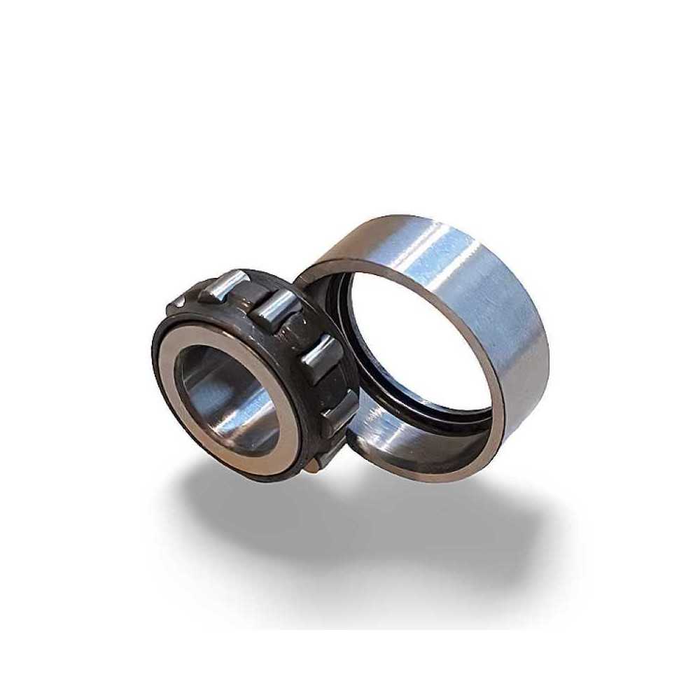 HK NF 153212 RICH | Cuscinetto a Rulli Cilindrici | 15x32x12 mm