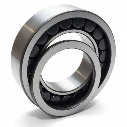 F-554430.02 RICH | Cuscinetto a Rulli Cilindrici | Una Corona