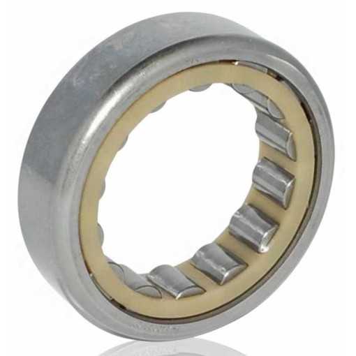 F-240039.03 RICH | Rulli Cilindrici | Riferimento OE VW 01J311429A