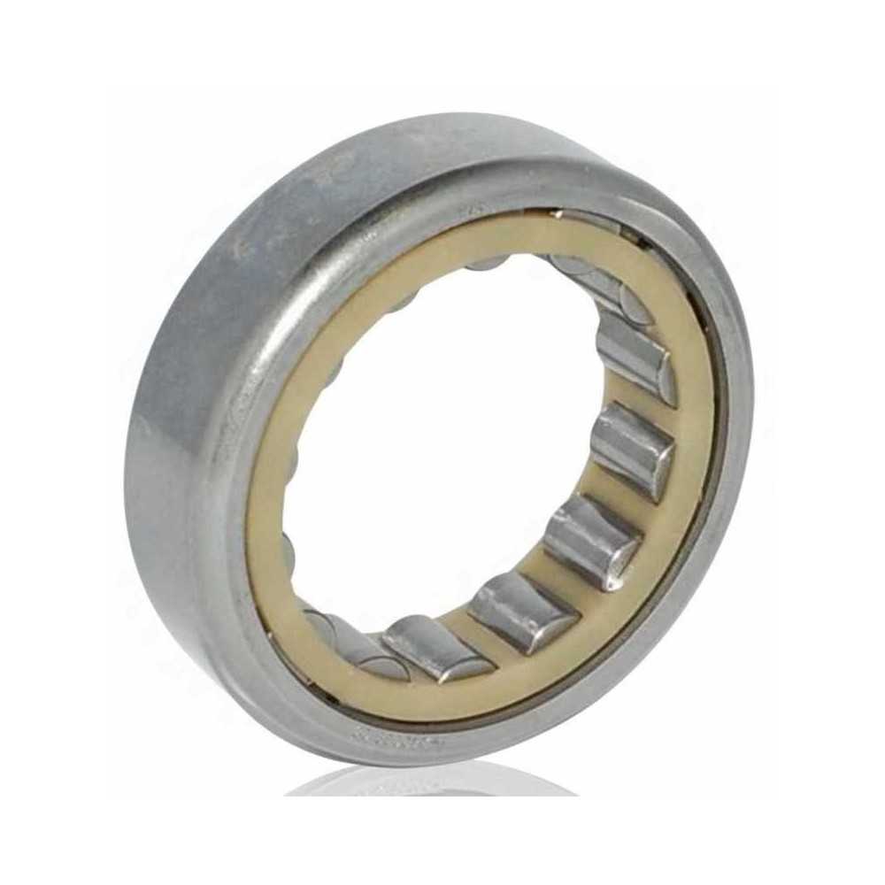 F-240039.03 RICH | Rulli Cilindrici | Riferimento OE VW 01J311429A