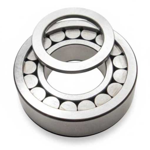 F-237492.01 RICH | Cuscinetto Rulli Cilindrici | Rif. OE A0069813701