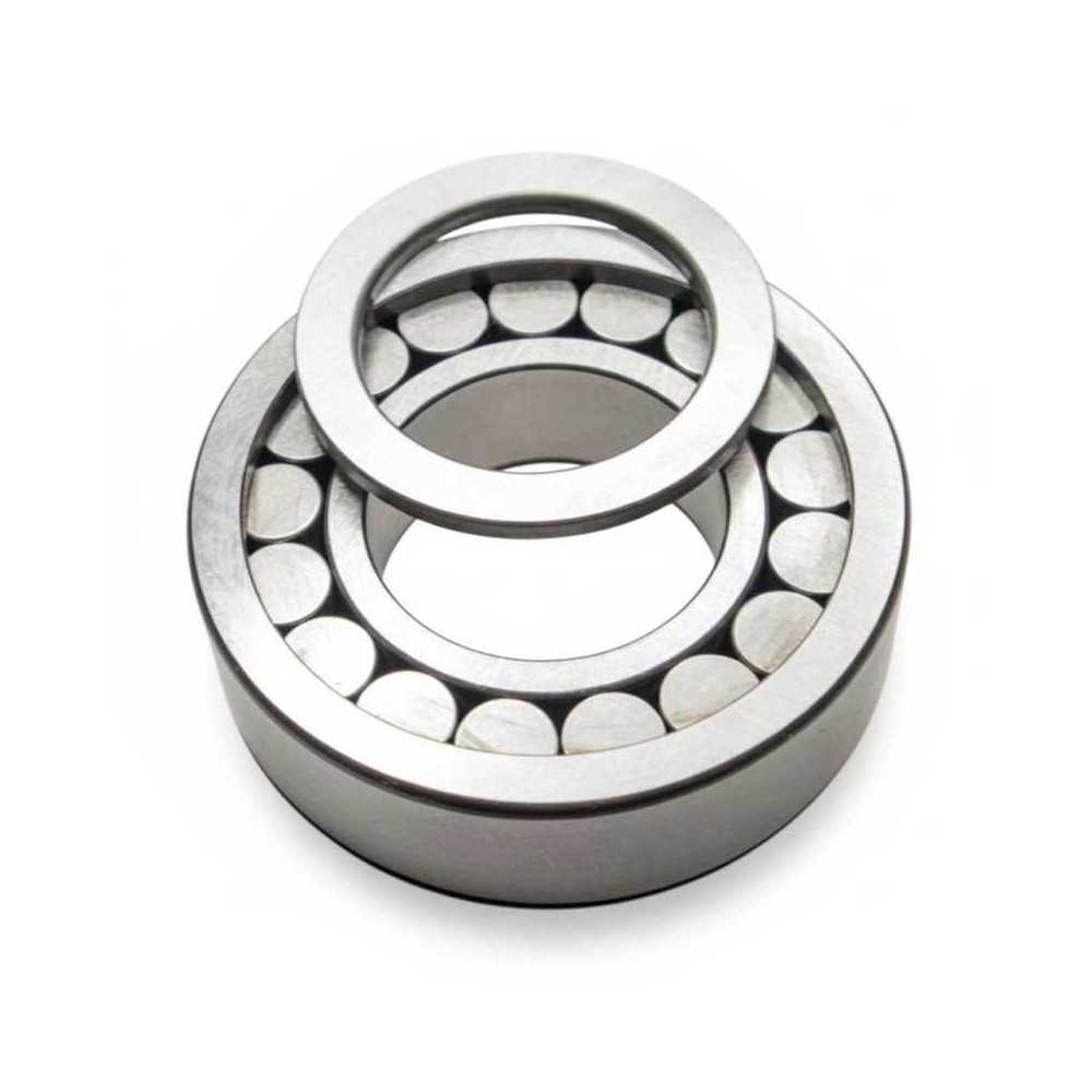 F-237492.01 RICH | Cuscinetto Rulli Cilindrici | Rif. OE A0069813701