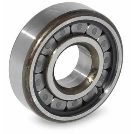 06NF0824 C3 RICH | Cuscinetto a Rulli Cilindrici | OE MH042005