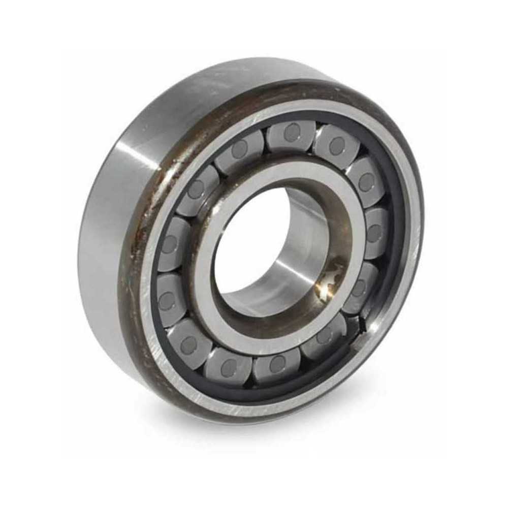 06NF0824 C3 RICH | Cuscinetto a Rulli Cilindrici | OE MH042005