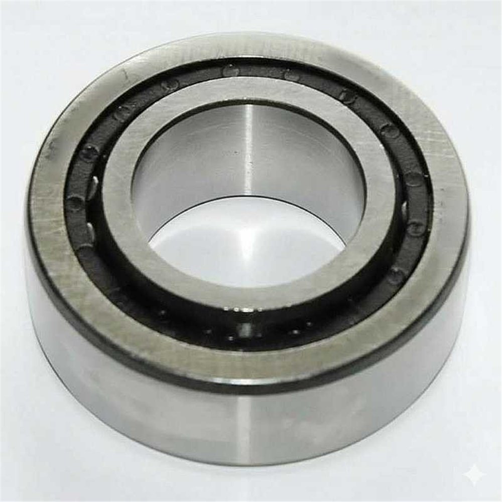 AP-608-270 RICH 30,2x59x22