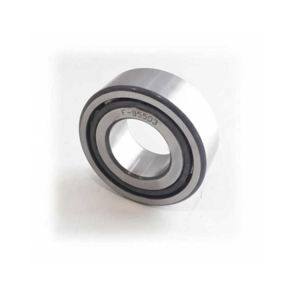 F-95503 RICH | Cuscinetto a Rulli Cilindrici 21.98mm