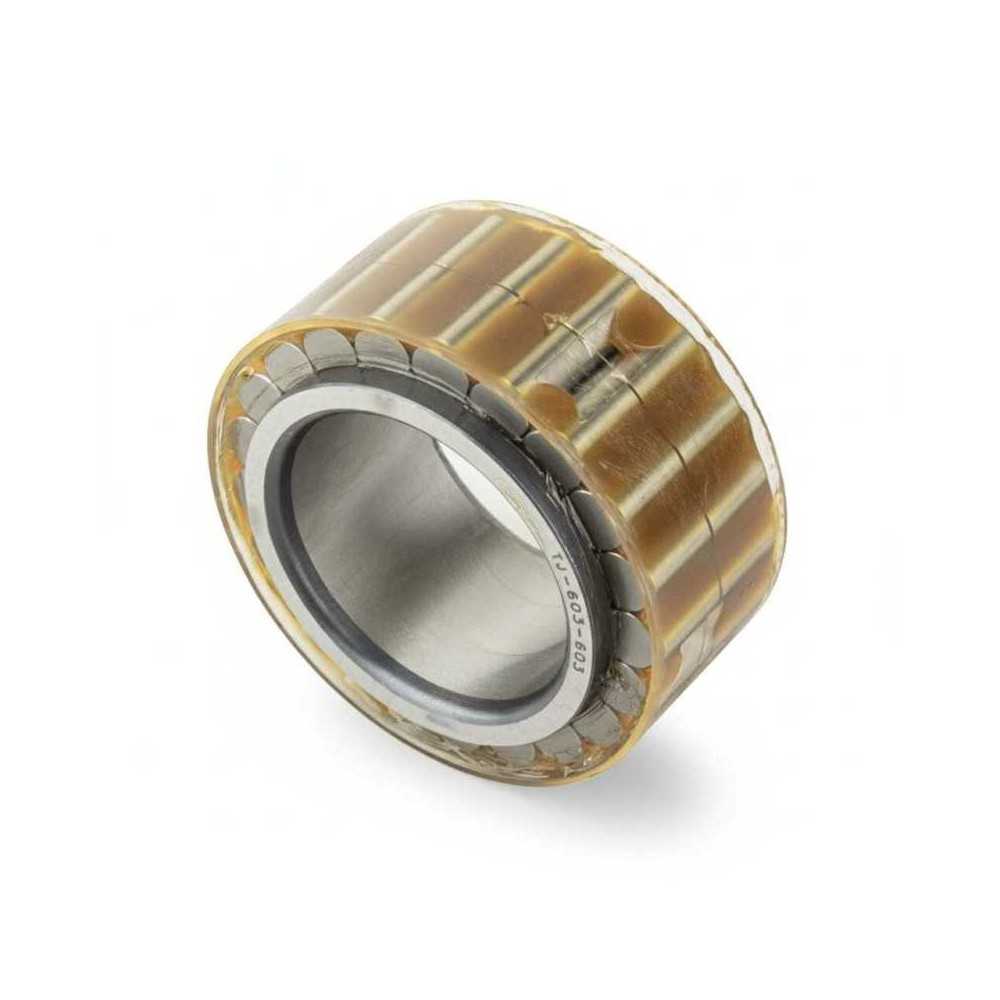 TJ-603-603 RICH | Cuscinetto a Rulli Cilindrici | OE 907/50200 JCB