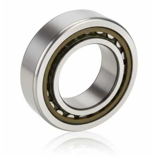 BC1-0522 RICH | Cuscinetto Rulli Cilindrici | 28x50x14.5 mm