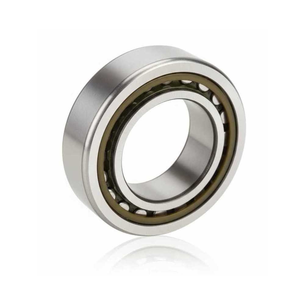 BC1-0522 RICH | Cuscinetto Rulli Cilindrici | 28x50x14.5 mm