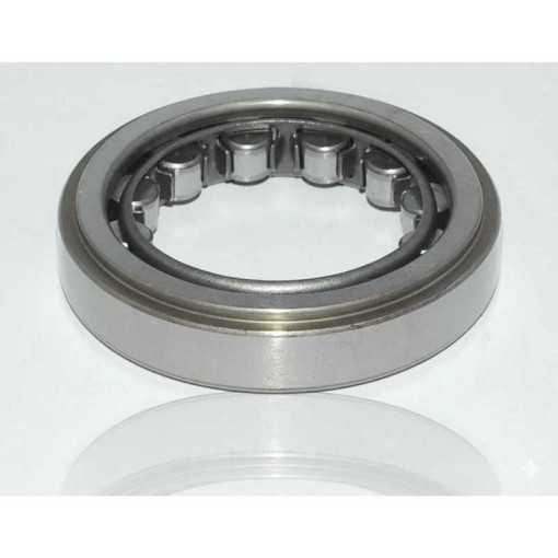 VP34-1 RICH | Cuscinetto a rulli cilindrici 34x58x13 mm (90365-34002)